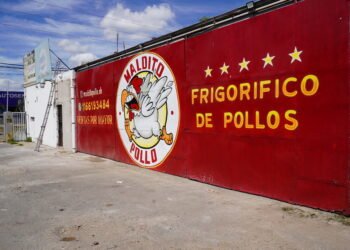 Multa millonaria y clausura para empresa avícola que arrojaba residuos en la vía pública