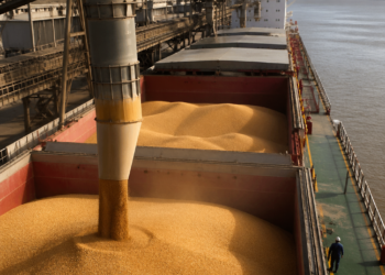 Granos de oro: el salto de Argentina en el mercado internacional