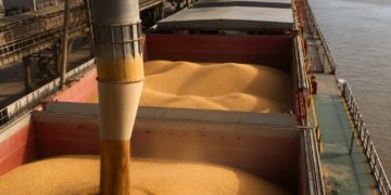 Granos de oro: el salto de Argentina en el mercado internacional