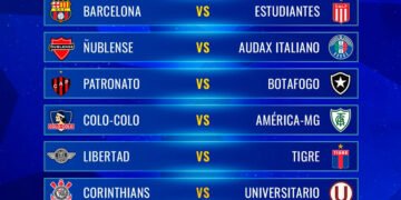 Copa Sudamericana: Análisis de la Situación de los Equipos Argentinos y sus Clasificaciones