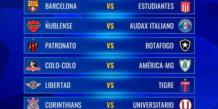 Copa Sudamericana: Análisis de la Situación de los Equipos Argentinos y sus Clasificaciones