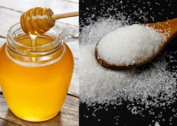 La combinación de miel y sal: un aliado natural para el rendimiento deportivo