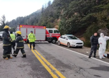 Bariloche: un conductor fugitivo fue arrestado tras atropellar y matar a un peatón