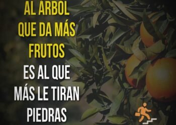Reflexiones a través de un proverbio africano