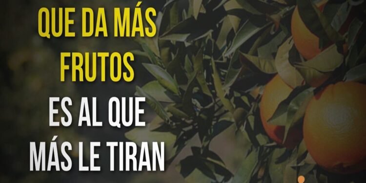 Reflexiones a través de un proverbio africano