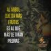 Reflexiones a través de un proverbio africano