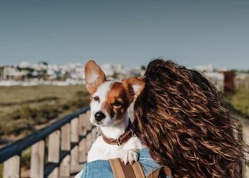 La baja natalidad impulsa el crecimiento del mercado de mascotas y cambia los hábitos de consumo