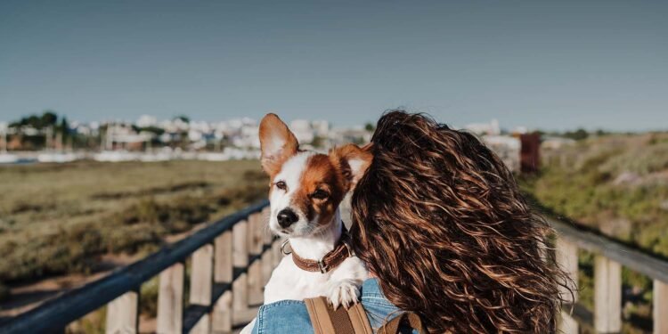 La baja natalidad impulsa el crecimiento del mercado de mascotas y cambia los hábitos de consumo