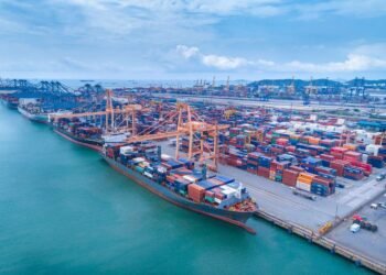 Nuevos mercados emergentes en la balanza comercial argentina