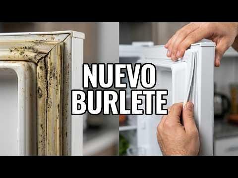 Cómo recuperar el burlete de la heladera: tres soluciones caseras utilizando lavandina, vaselina y calor