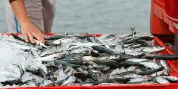 Incremento en la producción de pesca y minería