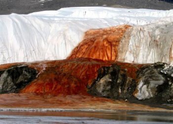 El enigma de las Cataratas de Sangre: descubren una antigua comunidad de microorganismos marinos bajo un glaciar antártico