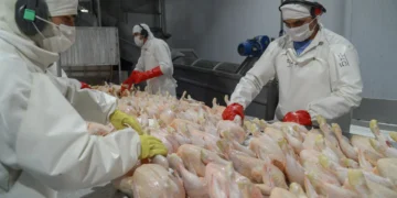 Argentina recuperó el acceso al mercado de Corea del Sur para la carne aviar