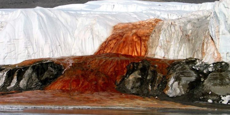 El enigma de las Cataratas de Sangre: descubren una antigua comunidad de microorganismos marinos bajo un glaciar antártico
