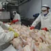 Argentina recuperó el acceso al mercado de Corea del Sur para la carne aviar