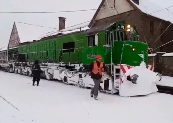 Operativo exitoso en medio de la nevada: el Tren Patagónico finalizó una travesía crucial para Bariloche