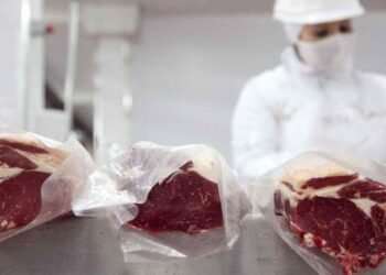 Las exportaciones de carne vacuna crecieron 42% en dólares durante 2026