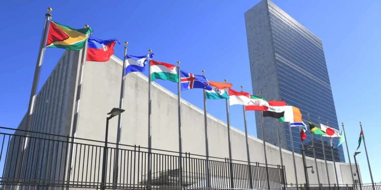 El correo que inspiró a jóvenes de Mar del Plata y Tandil a representar a Argentina en la ONU