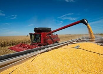 La mejora en los precios de los granos redujo la presión impositiva sobre la renta agrícola
