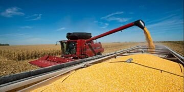 La mejora en los precios de los granos redujo la presión impositiva sobre la renta agrícola