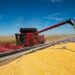 La mejora en los precios de los granos redujo la presión impositiva sobre la renta agrícola