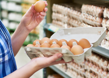 Interpretación de los números en los huevos del supermercado