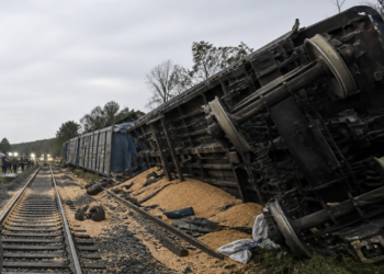 Un tren del Belgrano Cargas descarriló y volcó en Santa Fe