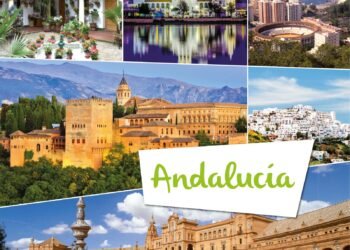 Convocan a voluntarios para cuidar animales rescatados en Andalucía con alojamiento gratuito
