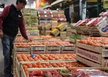 Tragedia en el Mercado Central: fallece una joven tras ser atropellada