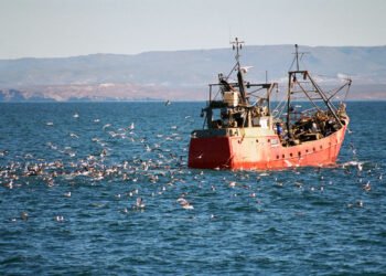 El Senado aprobó incentivos para la pesca y la retención de terneras, y Diputados deberá debatirlos
