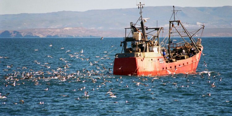 El Senado aprobó incentivos para la pesca y la retención de terneras, y Diputados deberá debatirlos